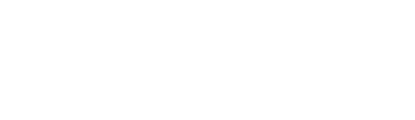 Принцип НОВО